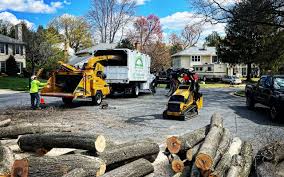 Best Lawn Mowing  in Woodcliff Lake, NJ