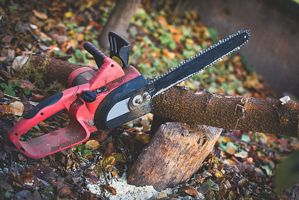 Best Soil Testing and Treatment  in Woodcliff Lake, NJ